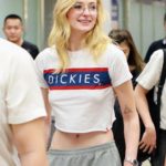 Sophie Turner likes Dickies or Dicks?