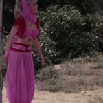 Barbara Eden - I Dream Of Jeannie