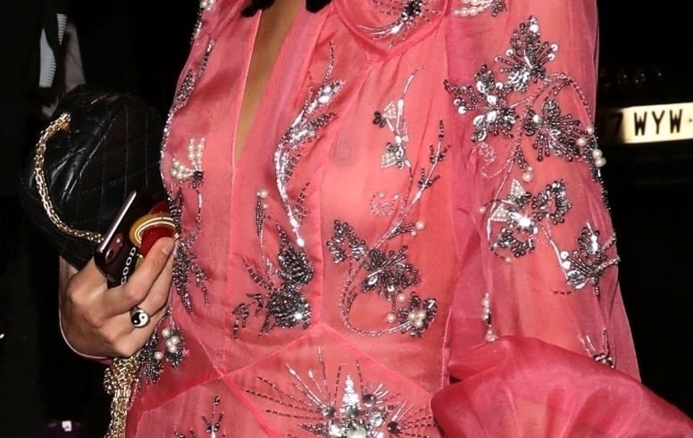 Alexa Chung See Through (15 Photos)