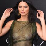 Kendall Jenner See Through (37 Photos + GIF & Video)