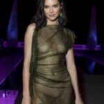 Kendall Jenner See Through (9 Photos)