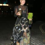 Lily Allen See Through (28 Photos)