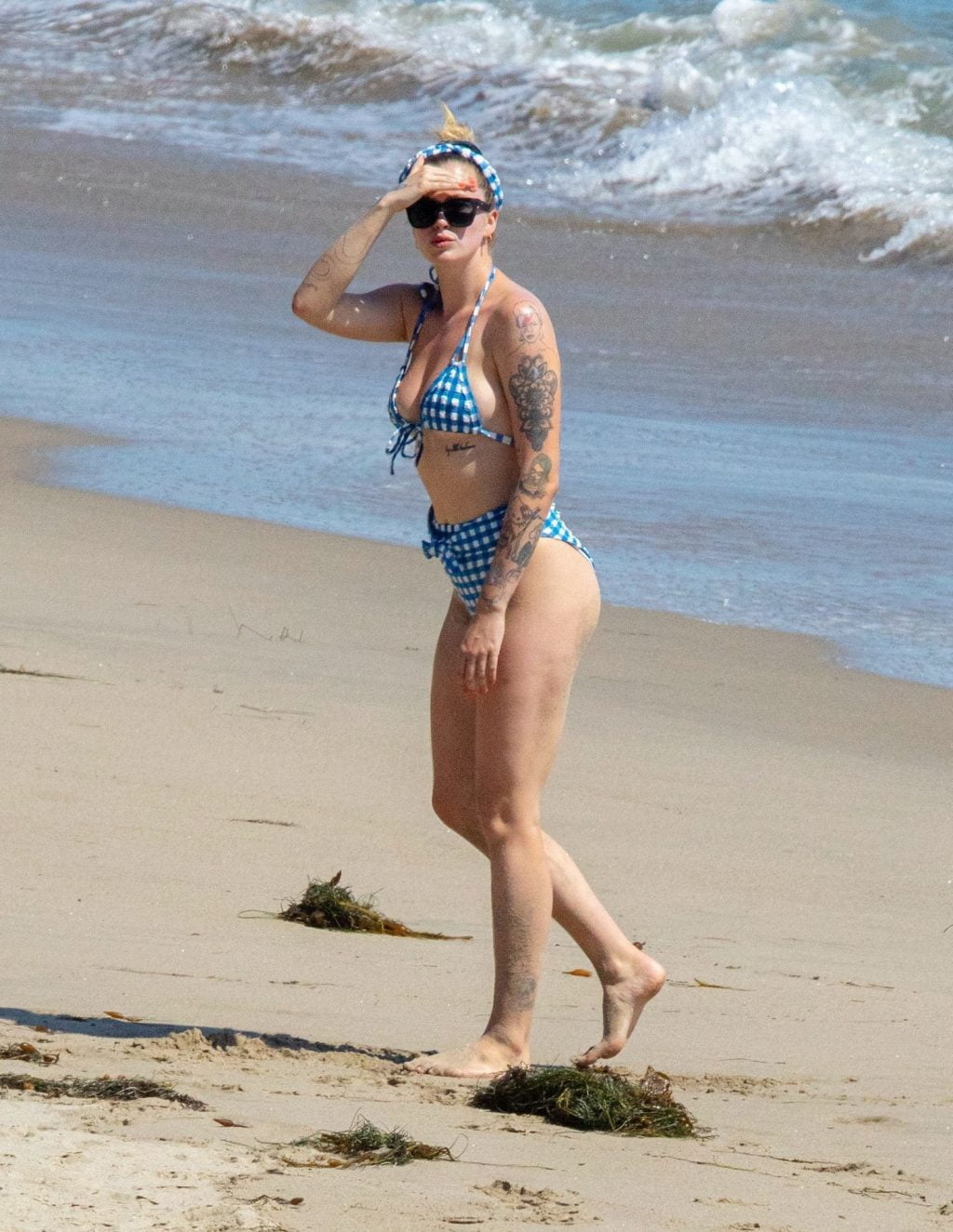 Ireland Baldwin Bikini