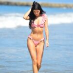 Nicole Williams Sexy (14 Photos)