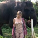 Sara Underwood See Through (6 Pics + Gif)