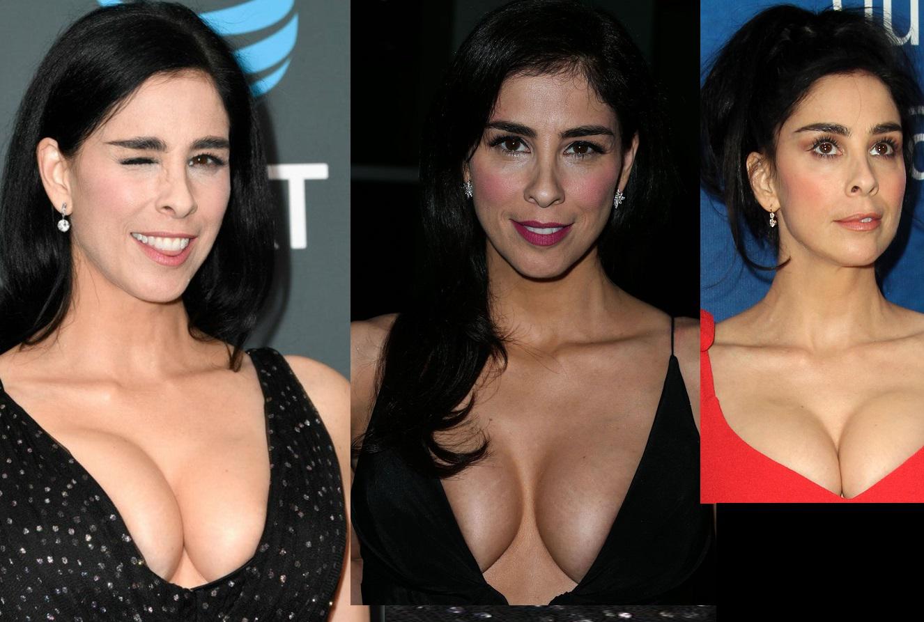 Sarah Silverman has some nice tits