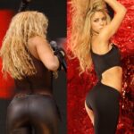 I could stare at Shakira’s ass for days