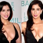 Sarah Silverman’s tits looks so great in this dress.