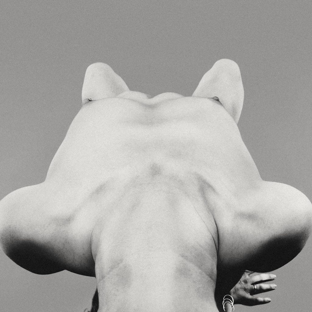 Ali Michael Nude (7 Photos)