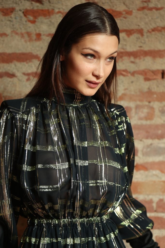 Bella Hadid See Through (11 Photos + Gif & Video)