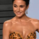 Emmanuelle Chriqui Sexy (55 Photos + Video)