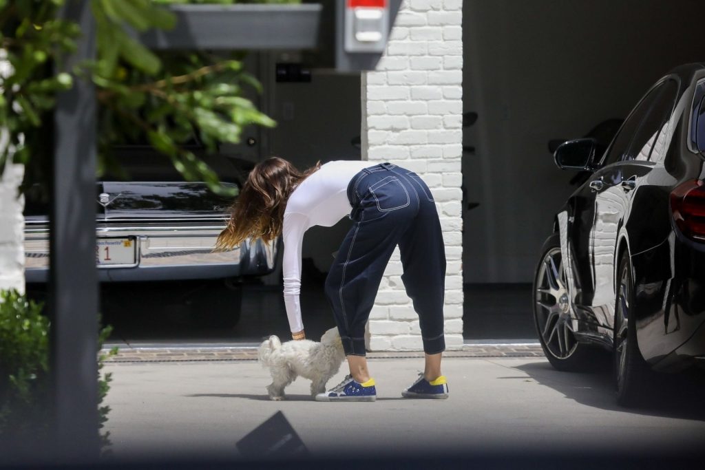 Ana de Armas