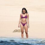 Karrueche Tran Sexy (28 Photos)