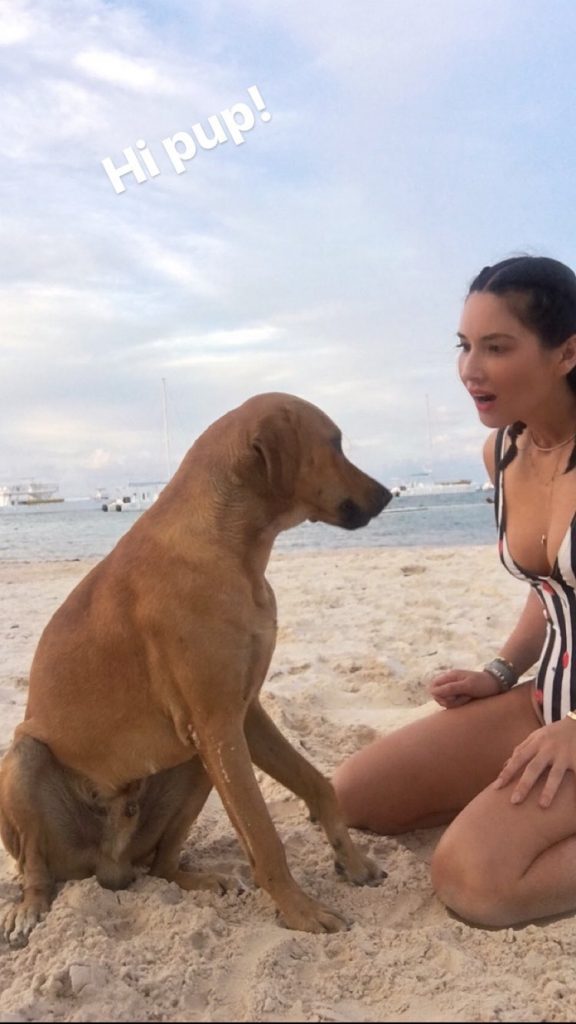 Olivia Munn Sexy (13 Photos + Gifs)