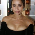 Zoe Kravitz Sexy (7 Photos)