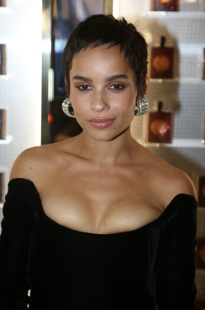 Zoe Kravitz Sexy (7 Photos)