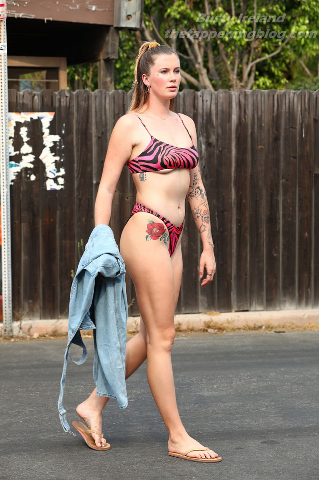 Ireland Baldwin Bikini - Nude Celebs