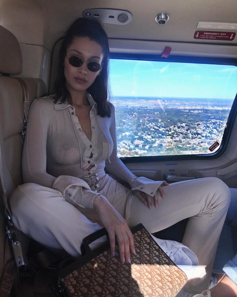 Bella Hadid See Through (2 Pics + Gif)