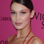 Bella Hadid Sexy (28 Photos)