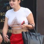 Ariel Winter Underboob (8 Photos)