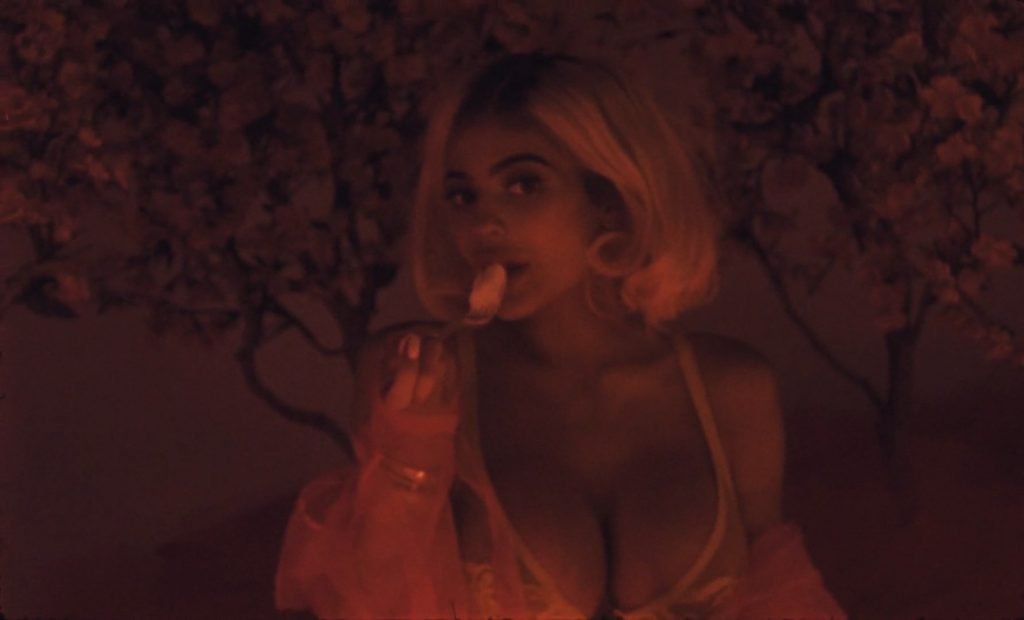 Kylie Jenner Sexy (21 Pics + Video & Gifs)