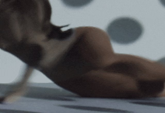 I wanna finger myself while Ariana Grande‘s tight ass get