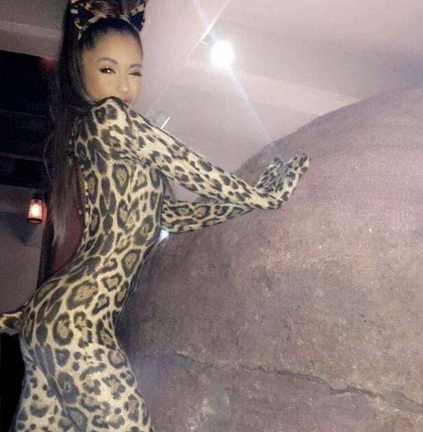 A feline Ariana Grande in the wild