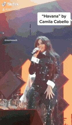 Camila cabello has a perfect figure