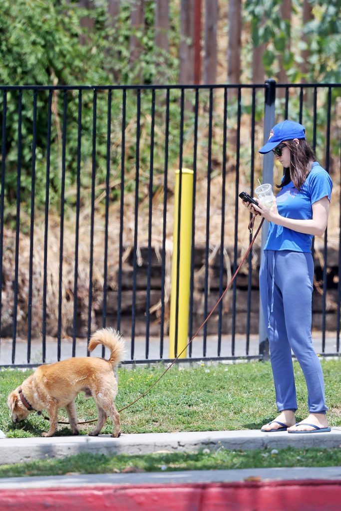 Alexandra Daddario Sexy (24 New Photos)