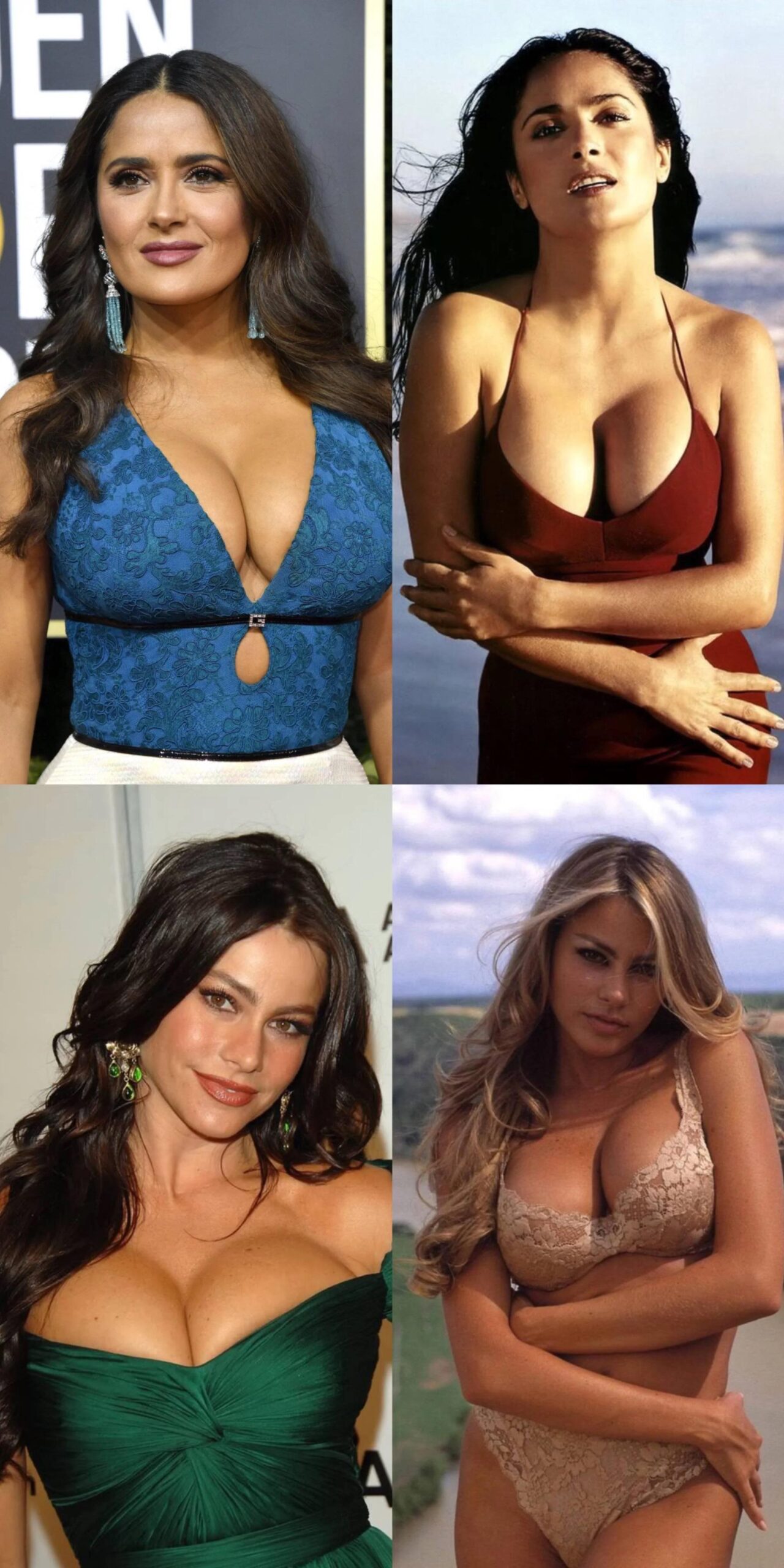 Who would you rather titfuck Salma Hayek or Sofia Vergara