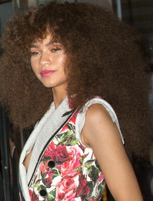 Zendaya Nip Slip (3 Photos)