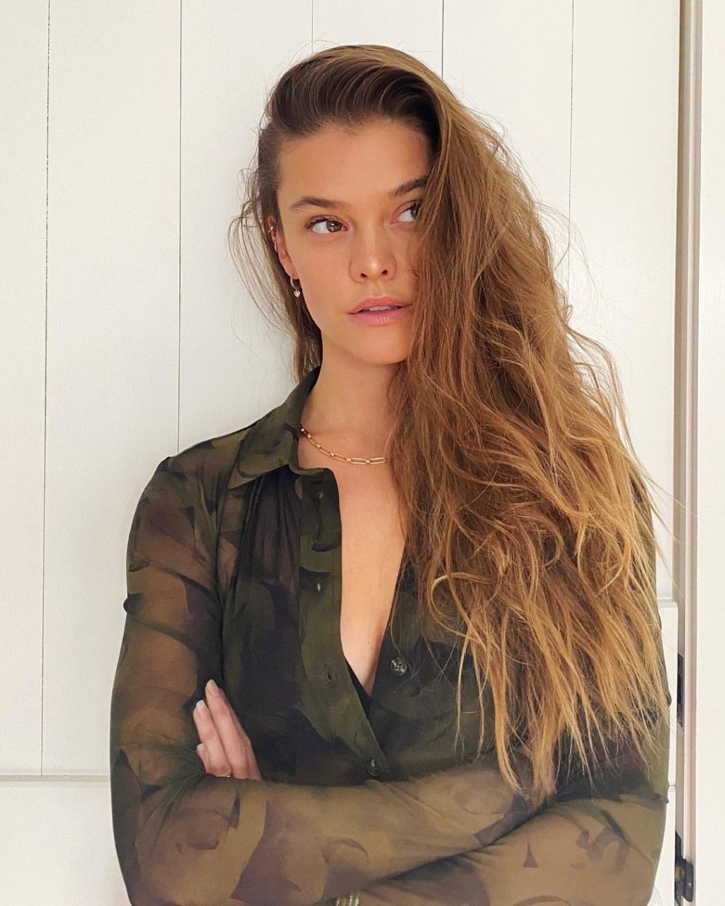 Nina Agdal Hot