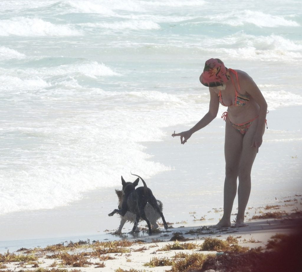 Rose McGowan Bikini