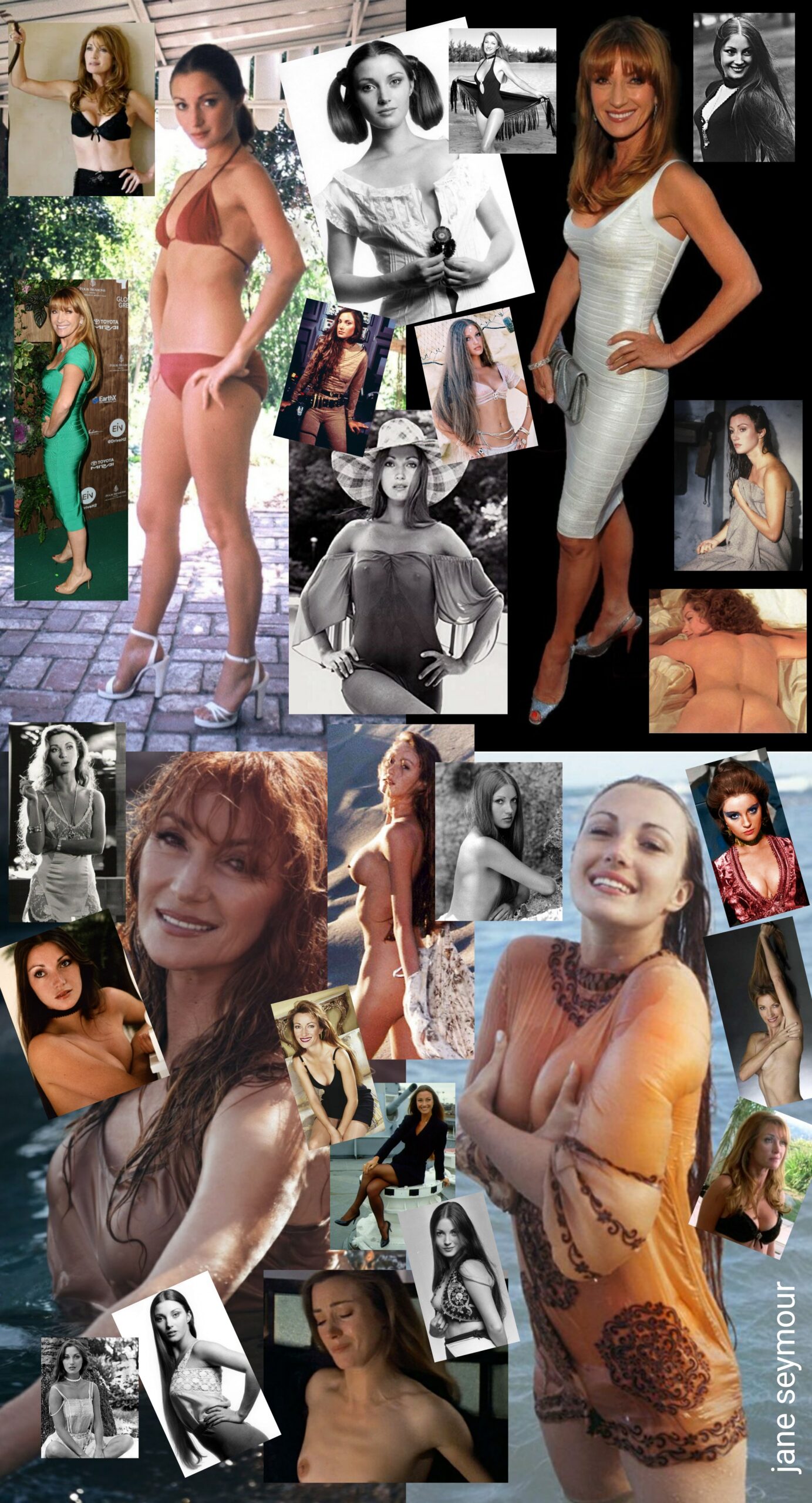 FBF Jane Seymour