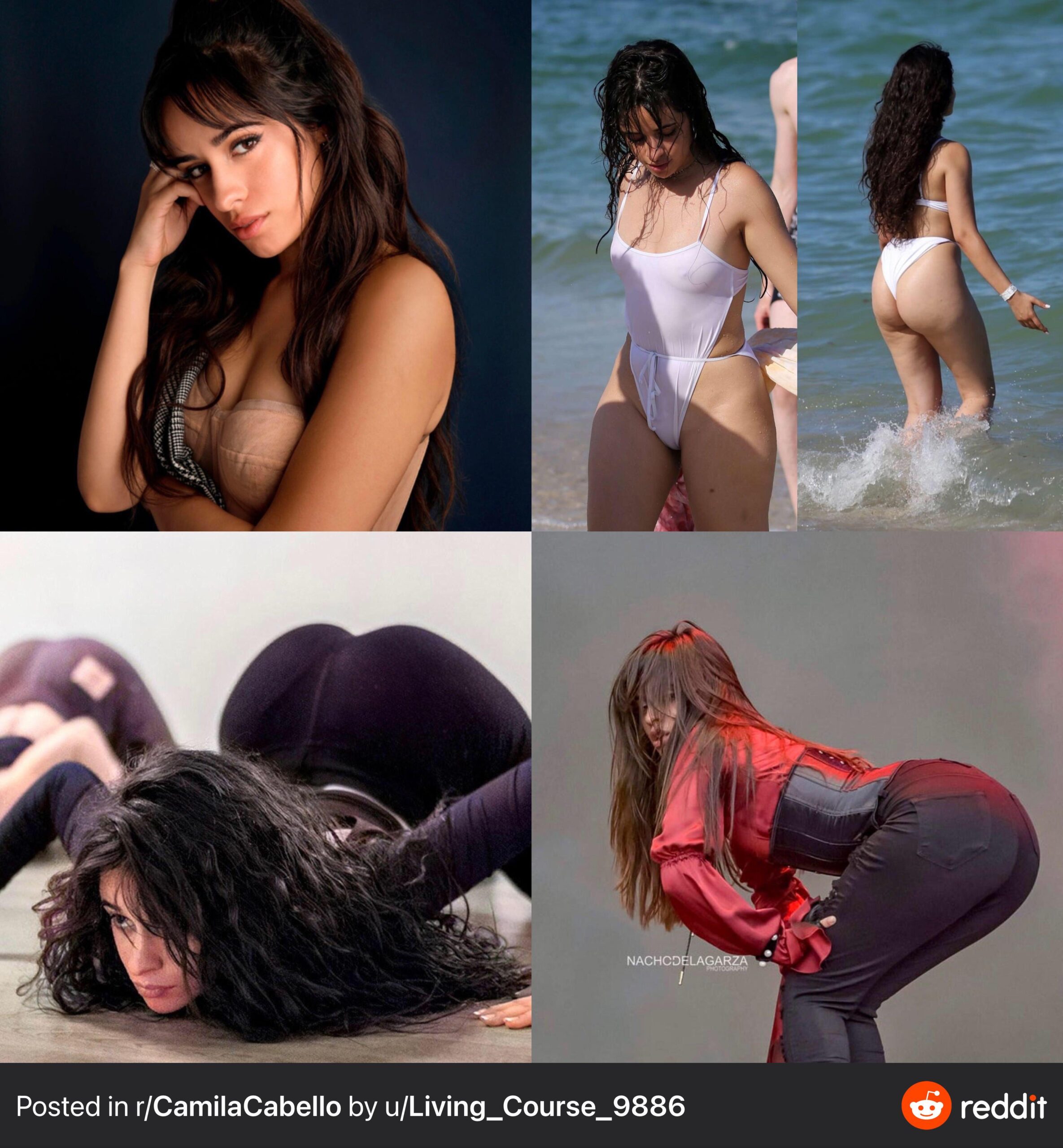 Camila Cabello is incredibly sexy