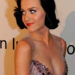 Katy Perry and her massive rack