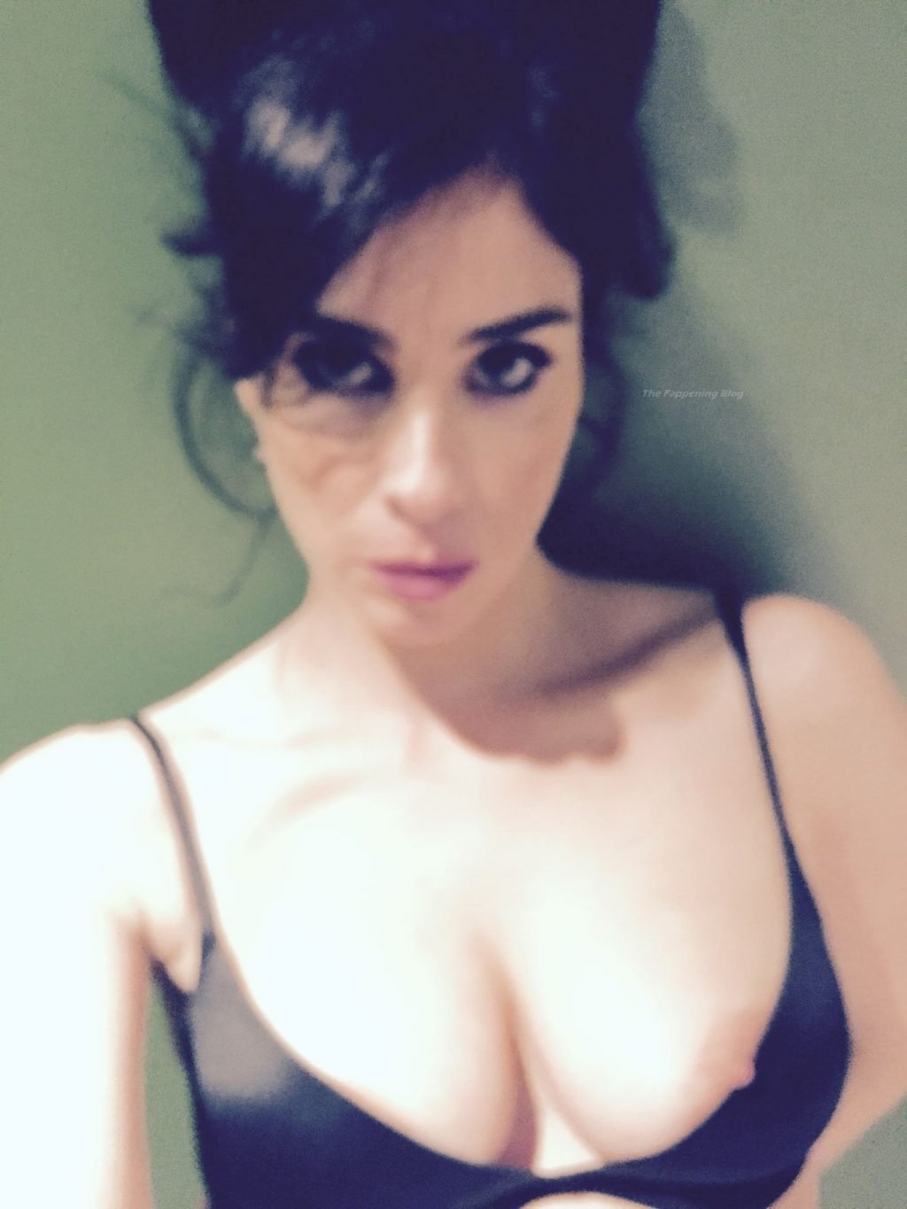 Sarah Silverman Leaked (2 Photos)