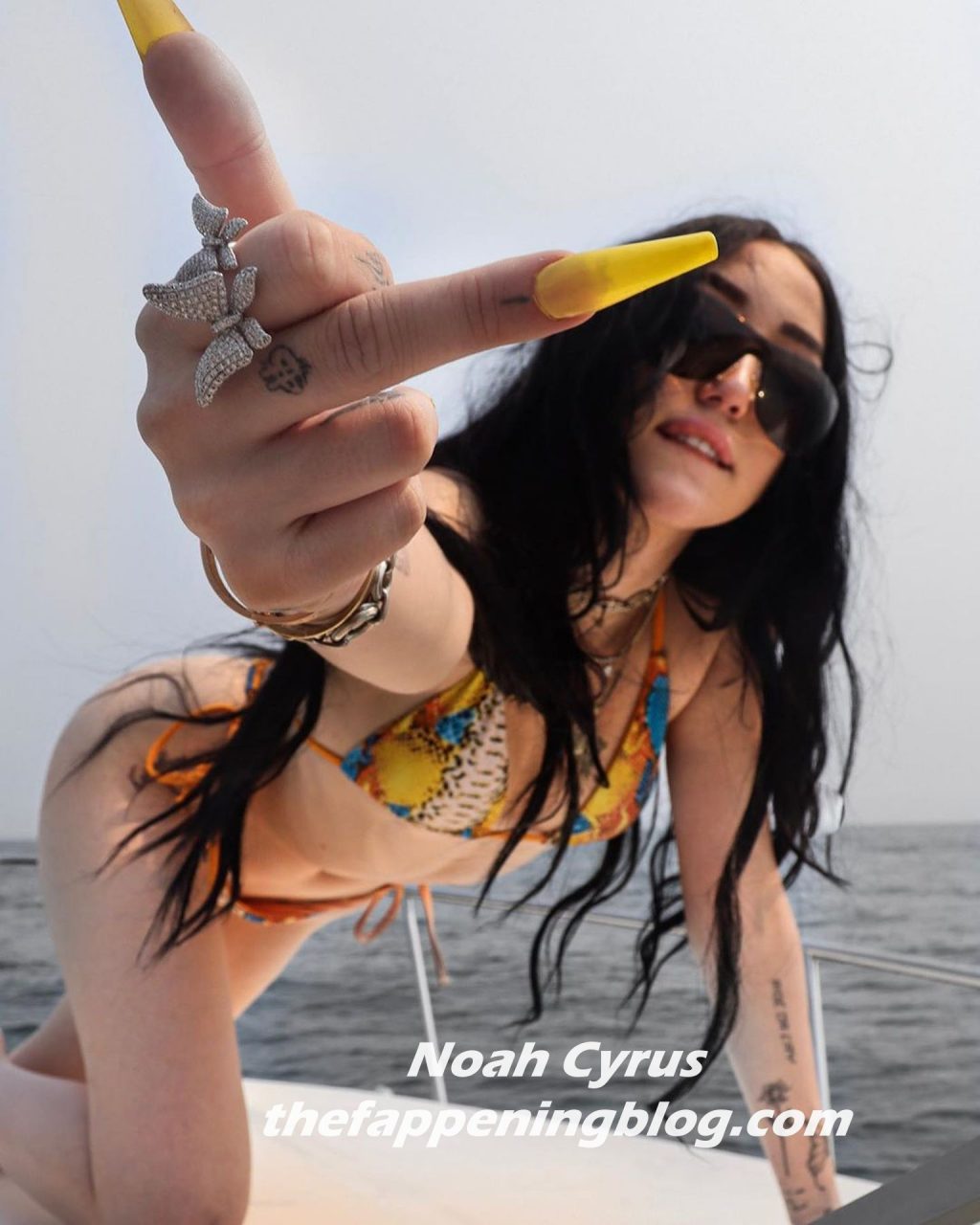 Noah Cyrus Bikini 5 Photos