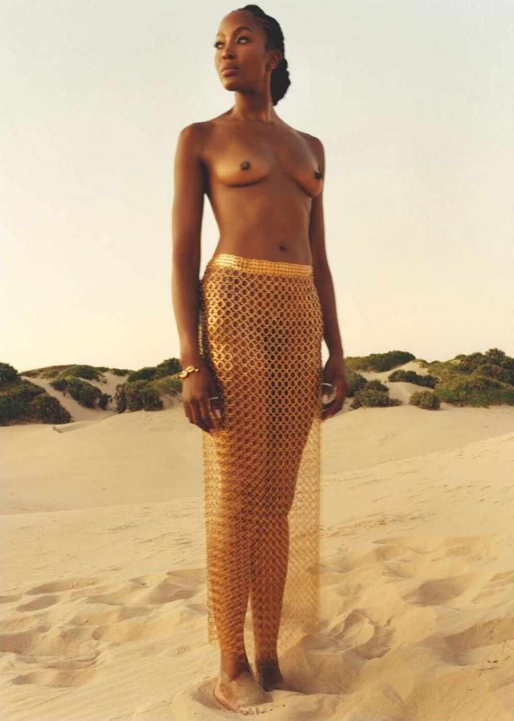 Naomi Campbell Topless 5 Photos