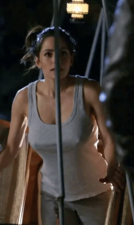 Sarah Shahi