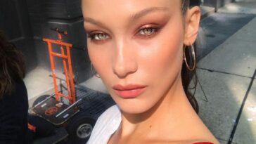 Bella Hadid Sexy (4 Pics & Gifs)