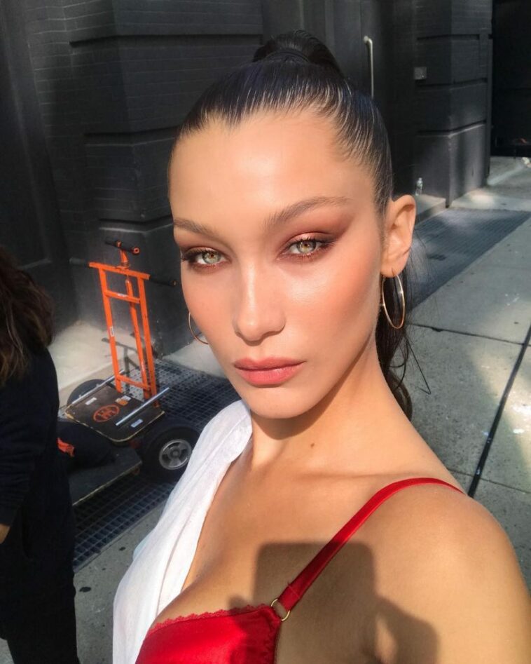 Bella Hadid Sexy (4 Pics & Gifs)