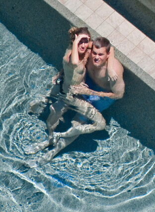 Gisele Bundchen Topless (2 Photos)