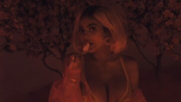Kylie Jenner Sexy (21 Pics + Video & Gifs)