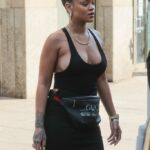 Rihanna Braless (31 Photos)