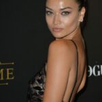 Shanina Shaik See Through (19 Photos)