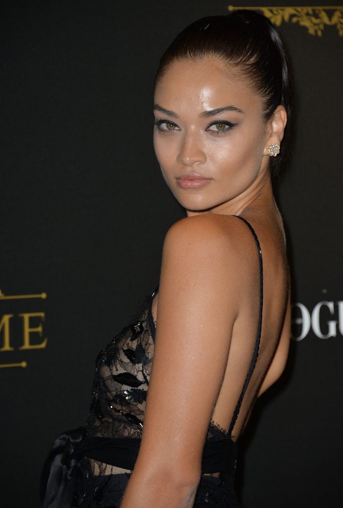 Shanina Shaik See Through (19 Photos)