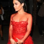 Vanessa Hudgens See Through (13 Photos)