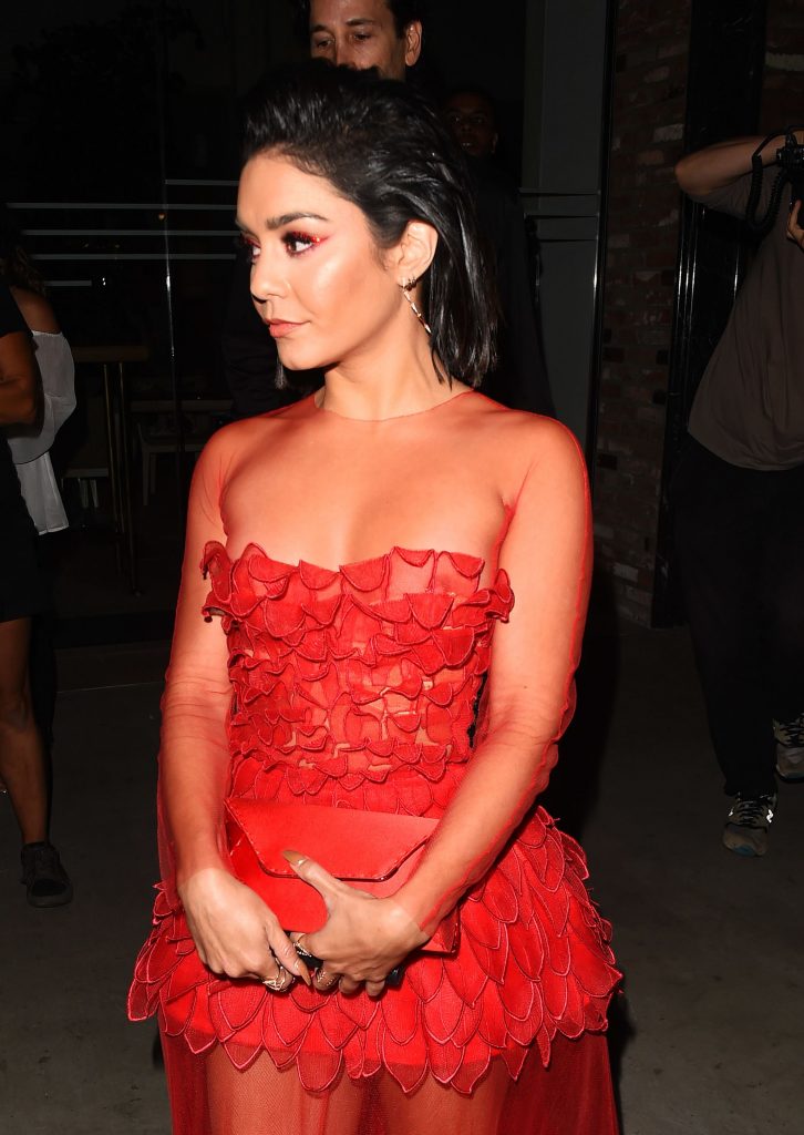 Vanessa Hudgens See Through (13 Photos)