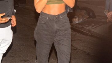 Emily Ratajkowski See Through (4 Photos)